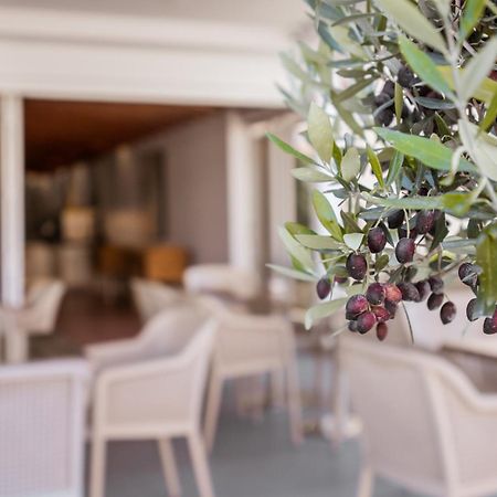 Paul Marie Hotel Apartments Ayia Napa Exteriér fotografie