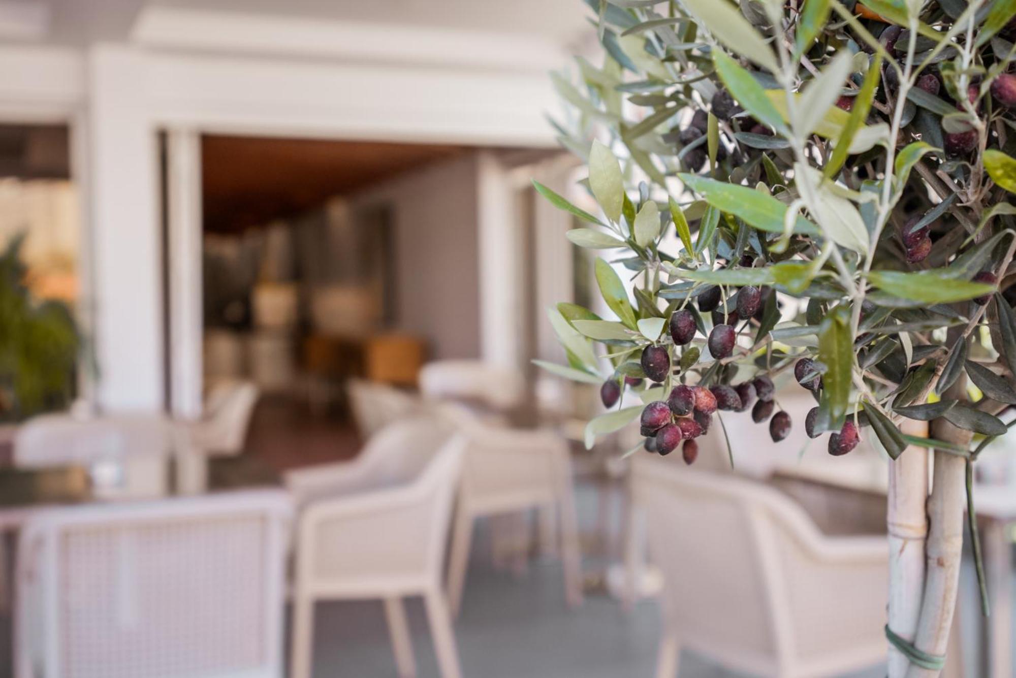 Paul Marie Hotel Apartments Ayia Napa Exteriér fotografie
